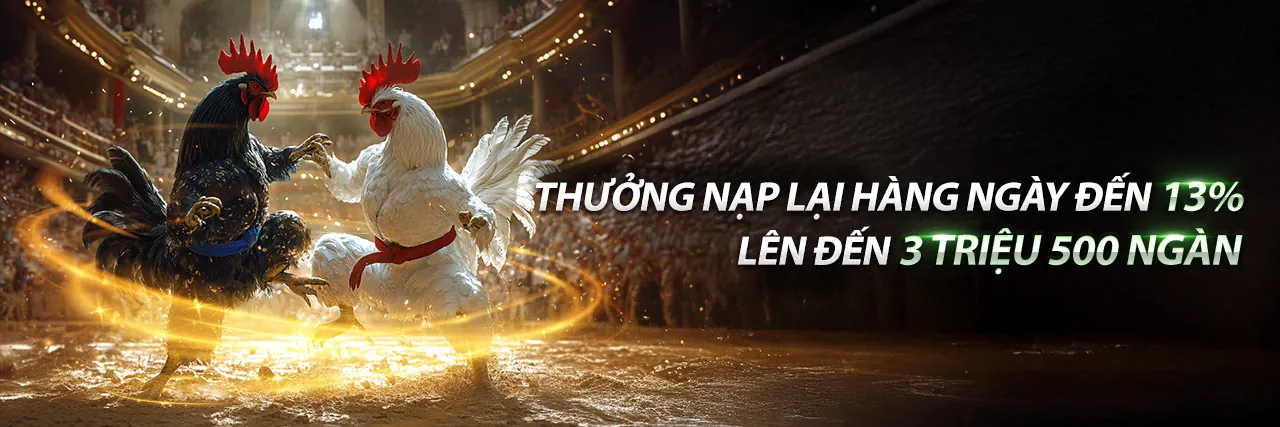 Sân vận động sôi động với trận đấu thể thao và người hâm mộ tại neo7979